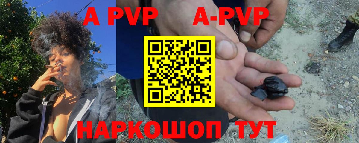 A PVP СК КРИС Тосно