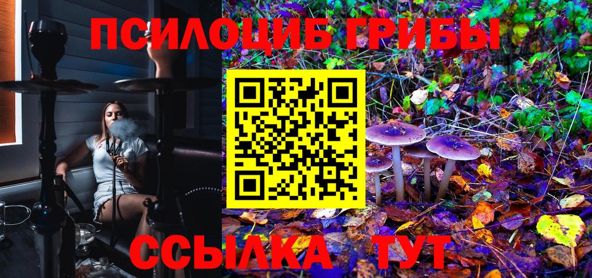 Тосно  Псилоцибиновые грибы Magic Shrooms  Вход с VPN 