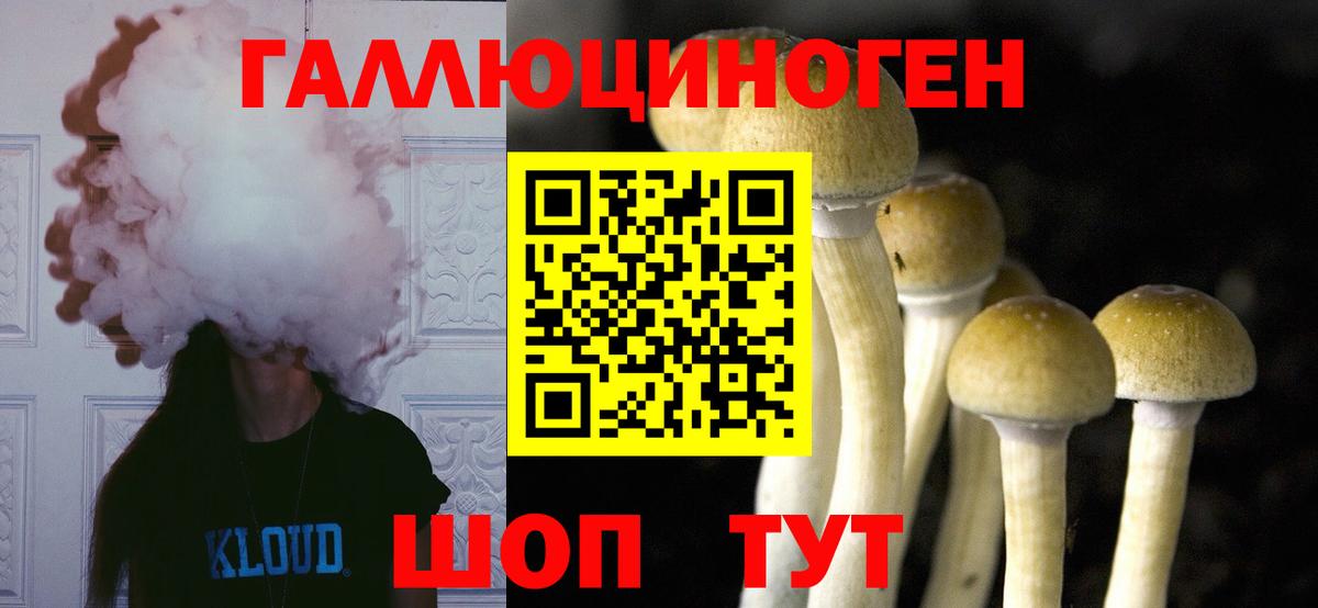 Псилоцибиновые грибы GOLDEN TEACHER Тосно